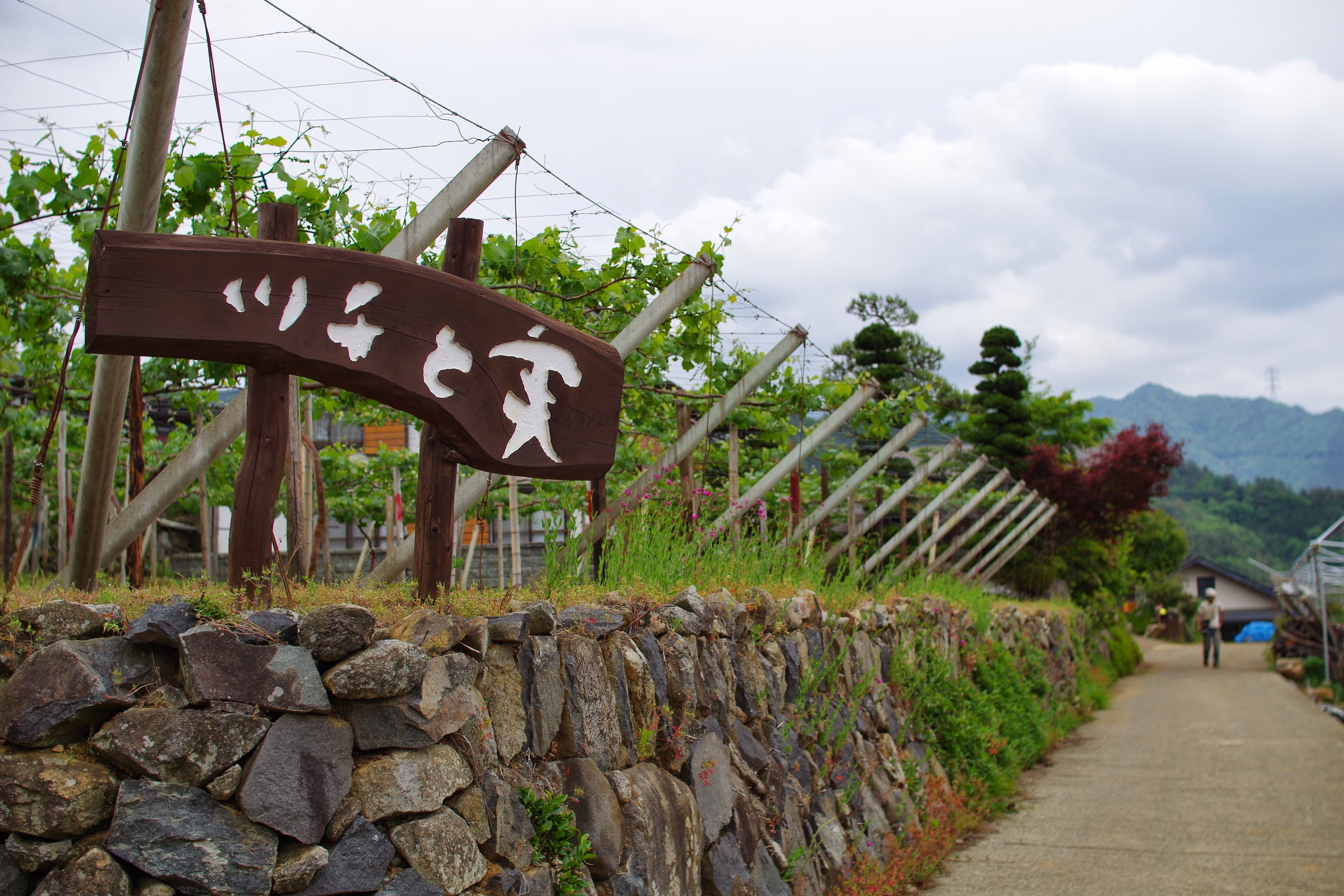 สัมภาษณ์ที่ "Tsuchitomi" ซึ่งบริหารโดย hototo เป็นการสัมภาษณ์นอกสถานที่ครั้งแรกสำหรับเคส Teachme