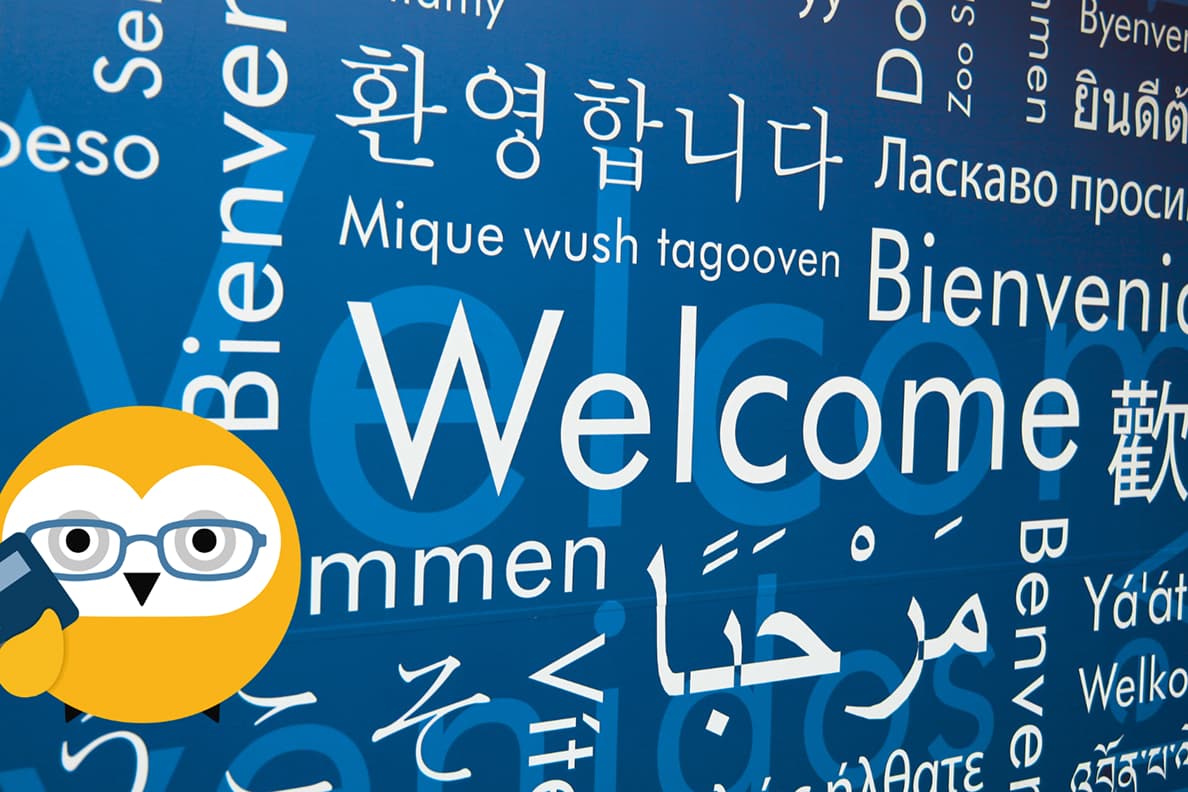 Translation Function Image